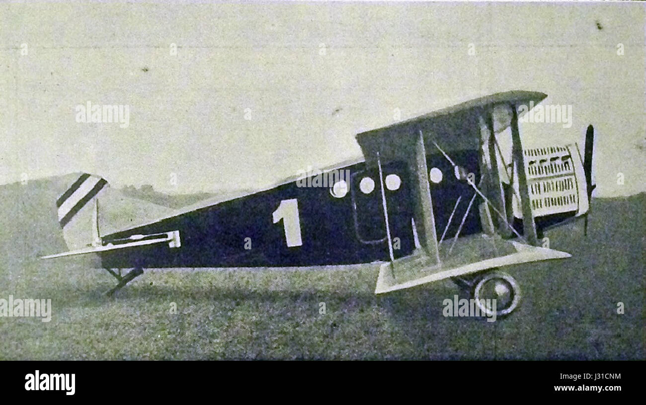 L'Ansaldo A.300T è un modello di aeromobile, potenzialmente legato alla storia dell'aviazione italiana, con specifiche relative alla progettazione, alle prestazioni e all'ingegneria. Foto Stock