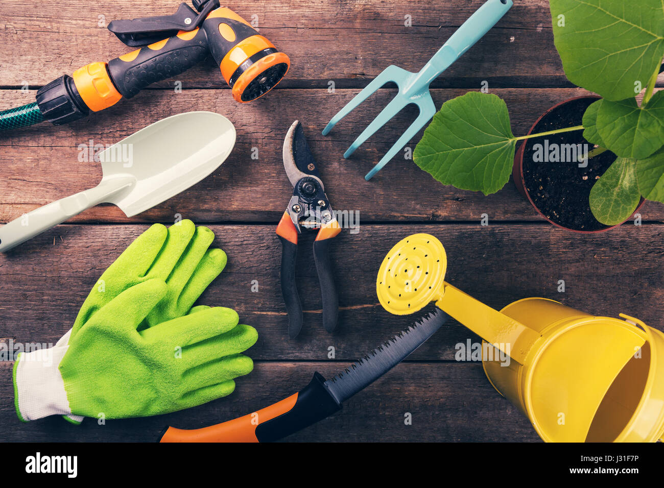 Utensili da giardinaggio e attrezzature sul vecchio sfondo di legno Foto Stock