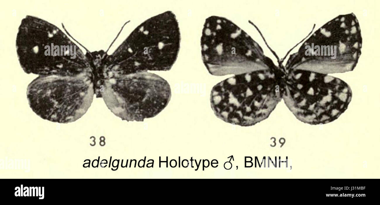 Opera di Adelgunda HTinStempfferBennett del 1965, che mostra una miscela di tecniche e stili artistici. Il pezzo, creato a metà del XX secolo, riflette le tendenze culturali e le innovazioni artistiche dell'epoca. Foto Stock