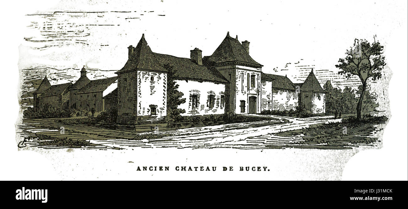 Bucey ancien chateau Fichot 00297 Foto Stock