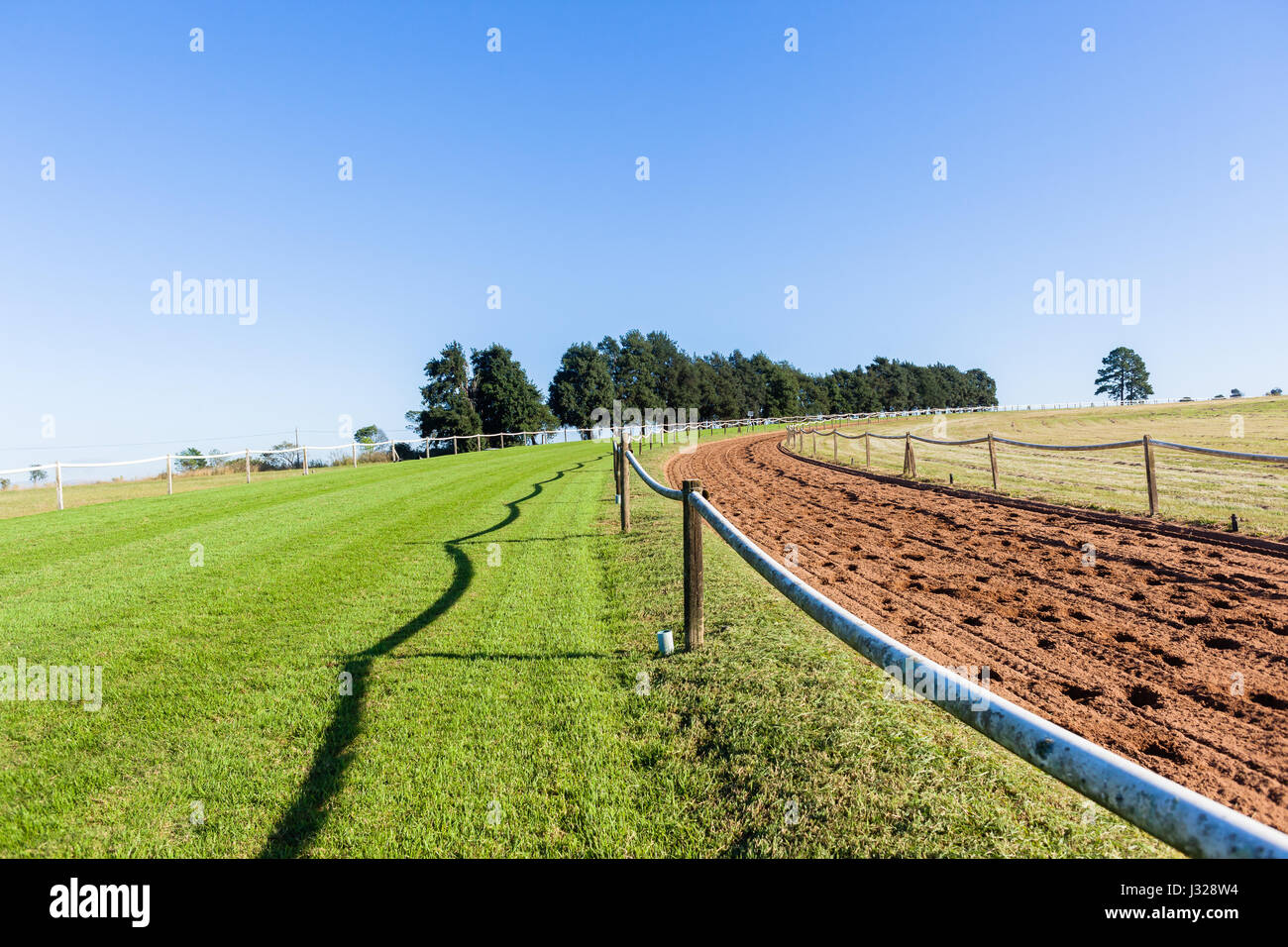 Il cavallo da corsa di sabbia di formazione e tracce di erba paesaggio di mattina Foto Stock