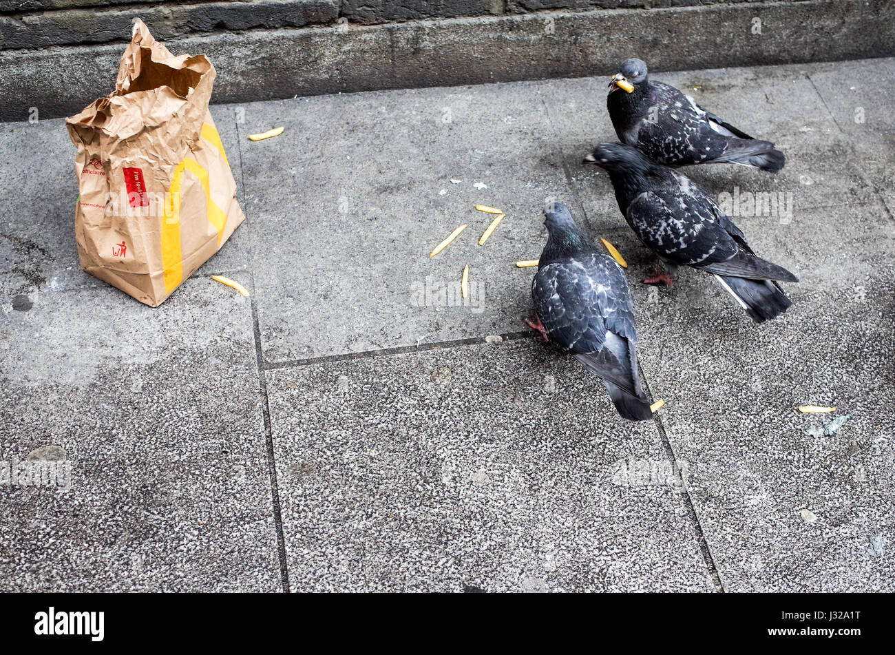 Fast food Pigeons - Pigeons di Londra snack su patatine di McDonalds scartate Foto Stock