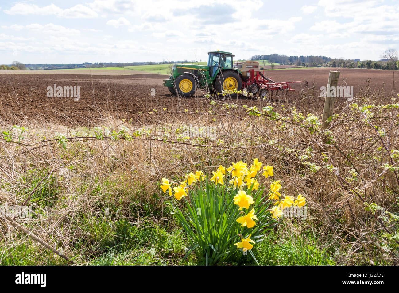 Semina dei semi sui Cotswolds all'inizio della primavera nei pressi di Hawling, Gloucestershire Regno Unito Foto Stock
