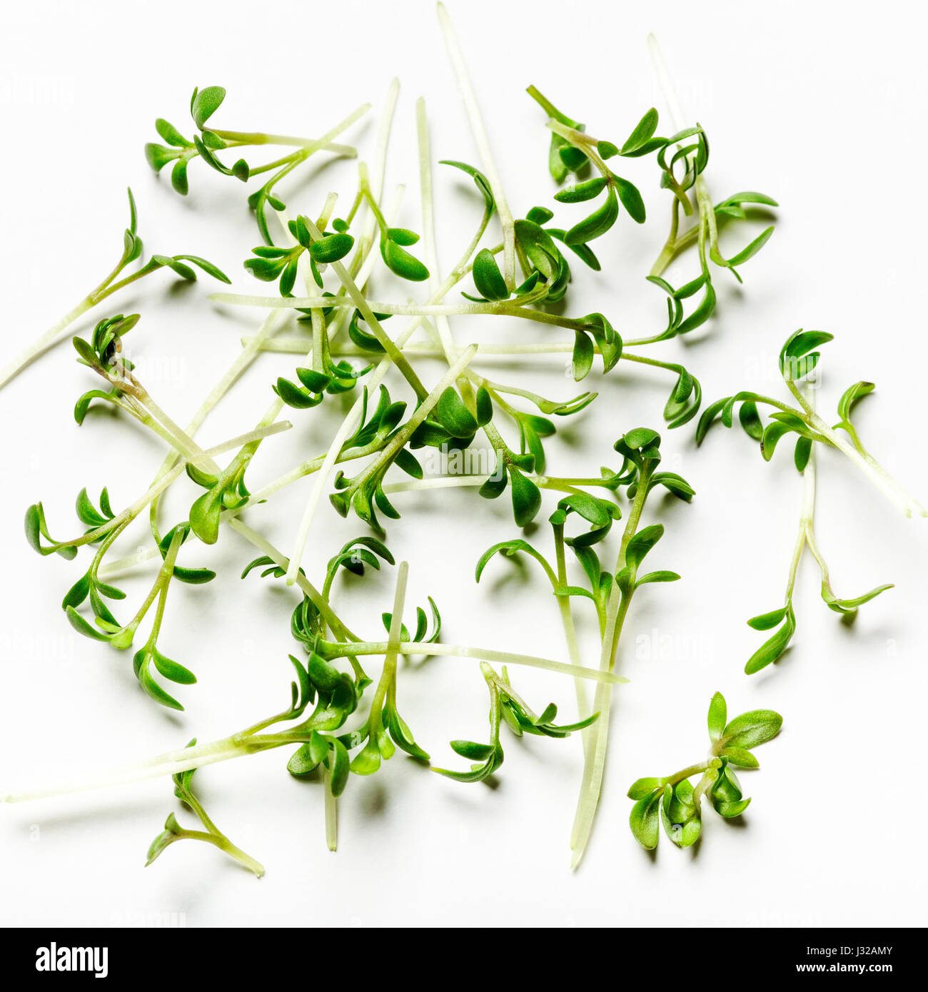 Fresco e verde insalata di crescione germogli su sfondo bianco, vista dall'alto, laici piatta Foto Stock