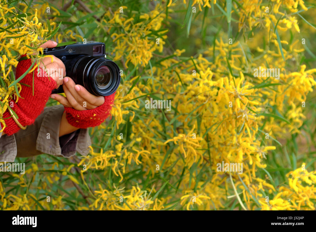 Donna con mano fotocamera per scattare foto di colore giallo su sfondo di fiori, femmina fotografo con la passione per la fotografia Foto Stock