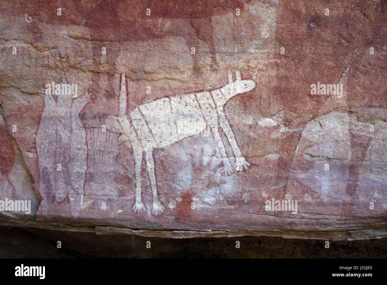 Dingo e echidna, Quinkan rock art gallery vicino Jawalbinna, Laura, meridionale di Cape York Peninsula, Queensland, Australia. N. PR Foto Stock