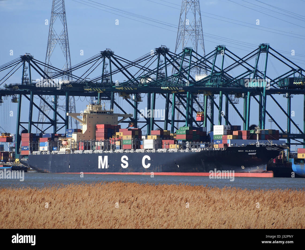 La MSC Albany è una nave container costruita nel 2013, immatricolata con il numero IMO 9619438. È esposto ormeggiato al porto di Anversa, uno dei porti più grandi e trafficati d'Europa, noto per il suo ruolo nel commercio e nella logistica globale. Foto Stock