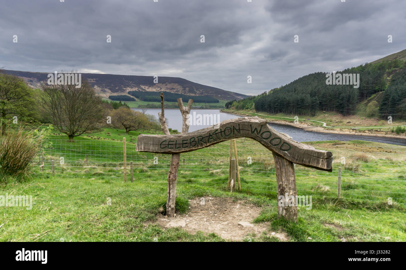 Celebrazione legno a Dovestone serbatoio, Greenfield, Parco Nazionale di Peak District. Inghilterra, Regno Unito Foto Stock