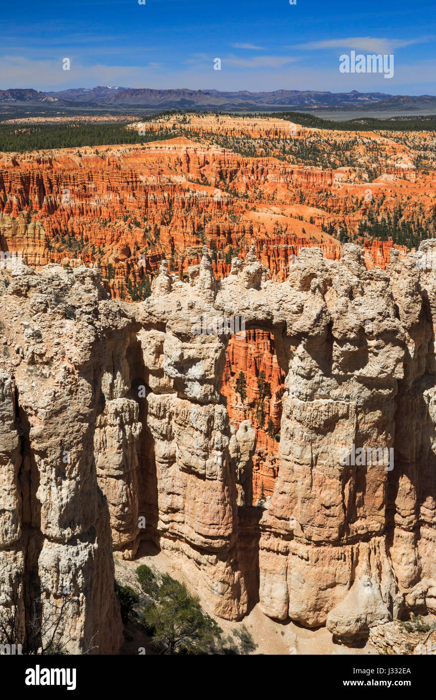 finestra naturale lungo il sentiero del bordo vicino al punto bryce nel parco nazionale del canyon di bryce, utah Foto Stock
