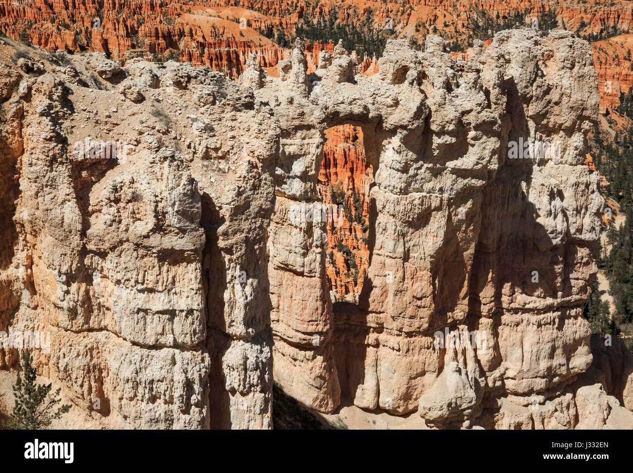 finestra naturale lungo il sentiero del bordo vicino al punto bryce nel parco nazionale del canyon di bryce, utah Foto Stock