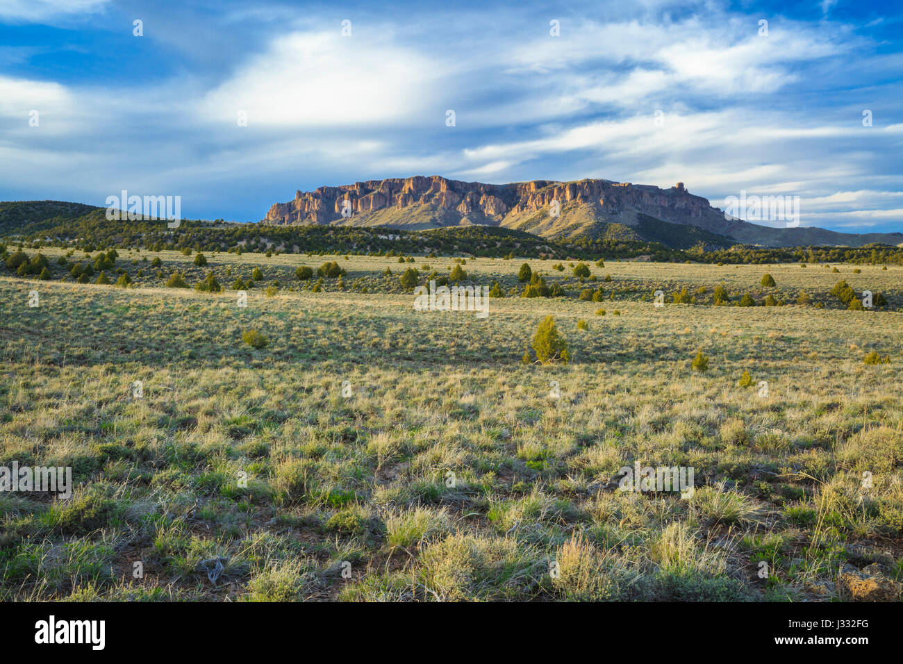 Flat Top Mountain in dixie national forest vicino a panguitch, Utah Foto Stock