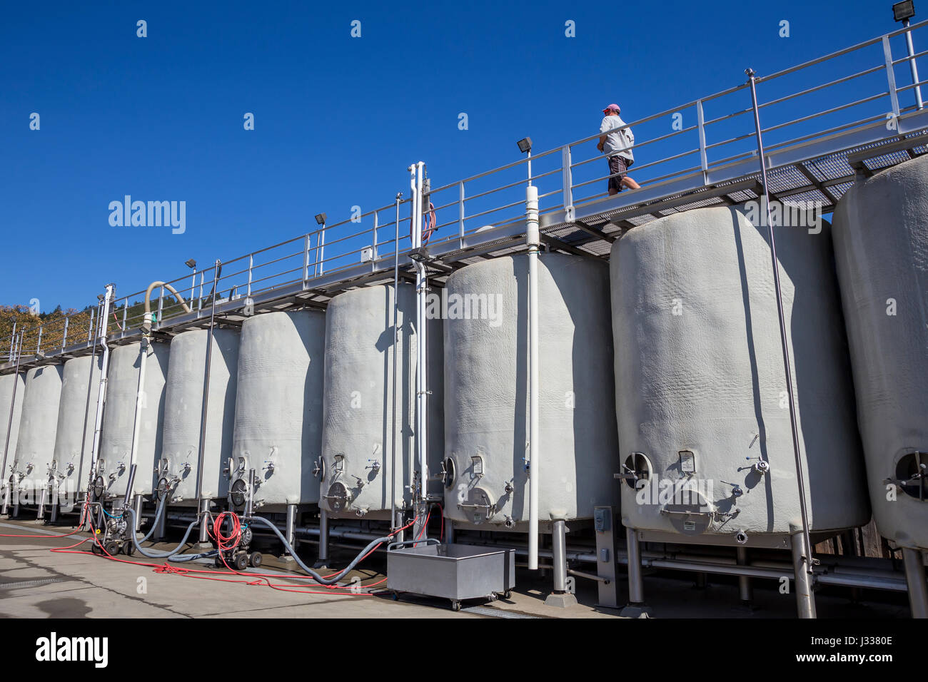 Serbatoi di fermentazione, area di fermentazione, immagini cantina immobiliare, Glen Ellen, Sonoma Valley e Sonoma County, California Foto Stock