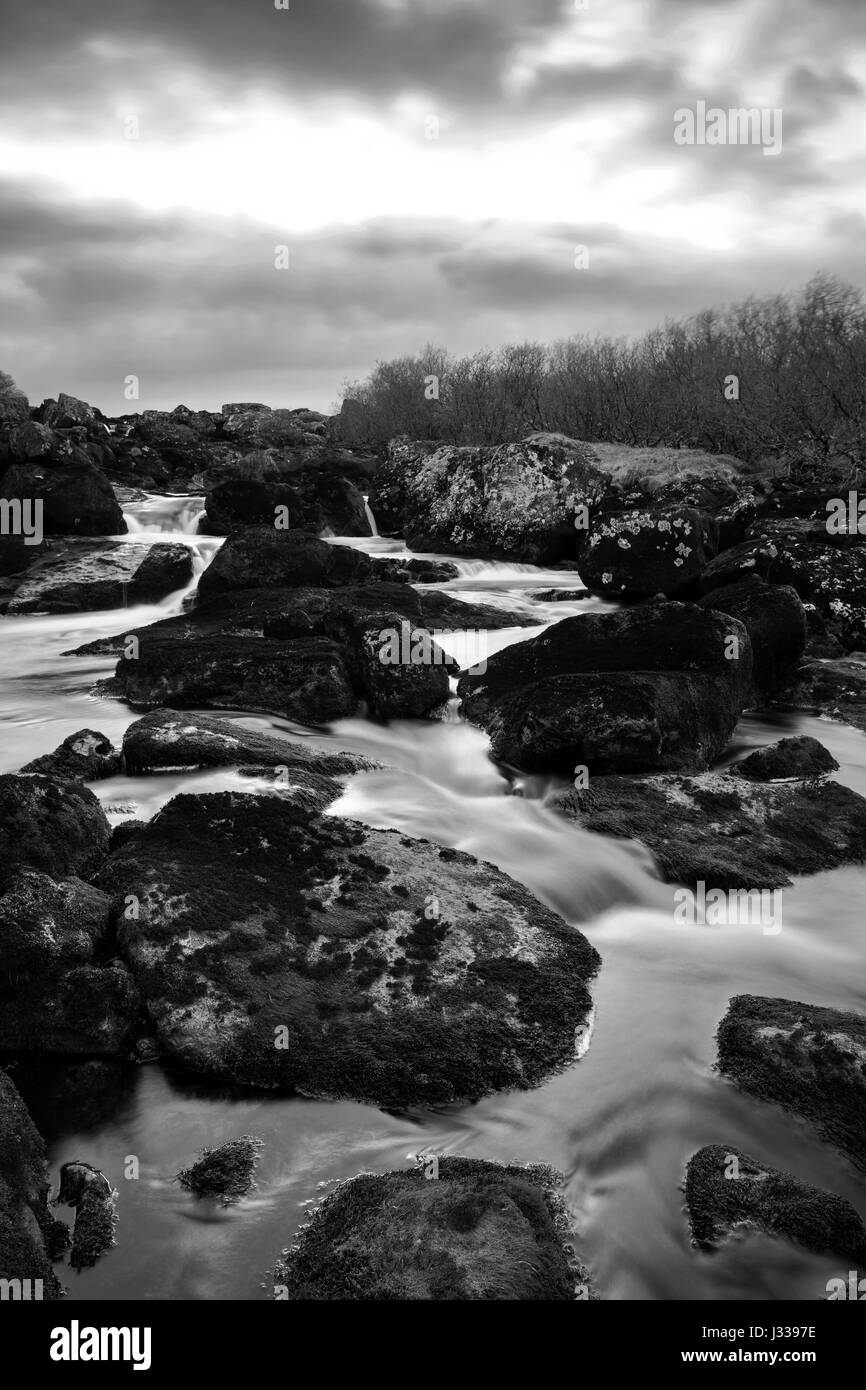 Fotografia di © Jamie Callister. Llyn Celyn, Bala, Gwynedd, il Galles del Nord, 28 aprile 2017. Foto Stock