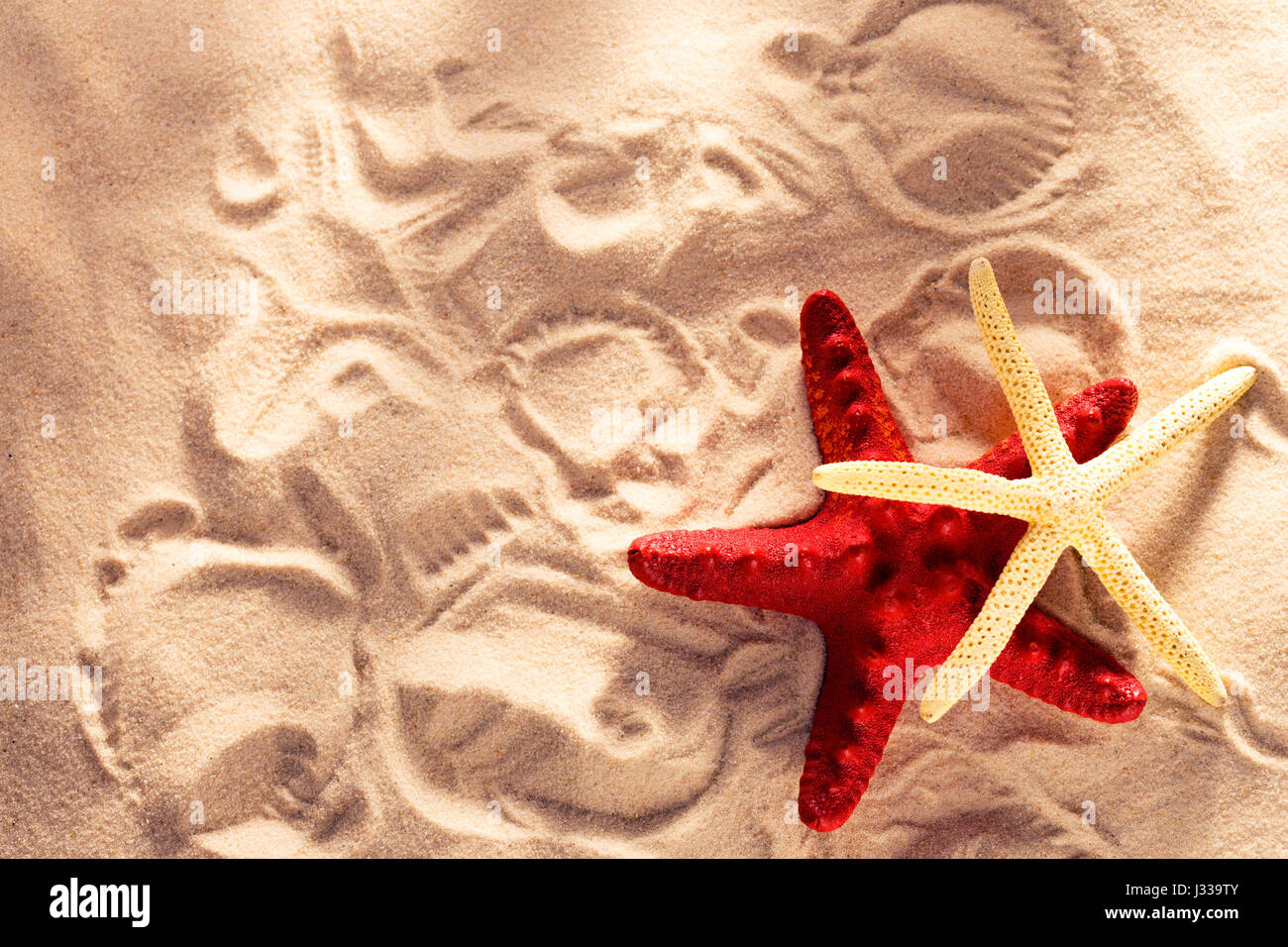 Due stelle di mare e stampe in sabbia closeup Foto Stock