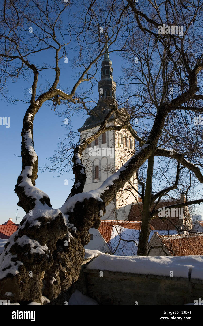 Niguliste Kirik (St Nicholas' chiesa), ora il Museo d Arte di Estonia, da Taani Kuninga Aed sulle pendici della Toompea, Tallinn, Estonia Foto Stock