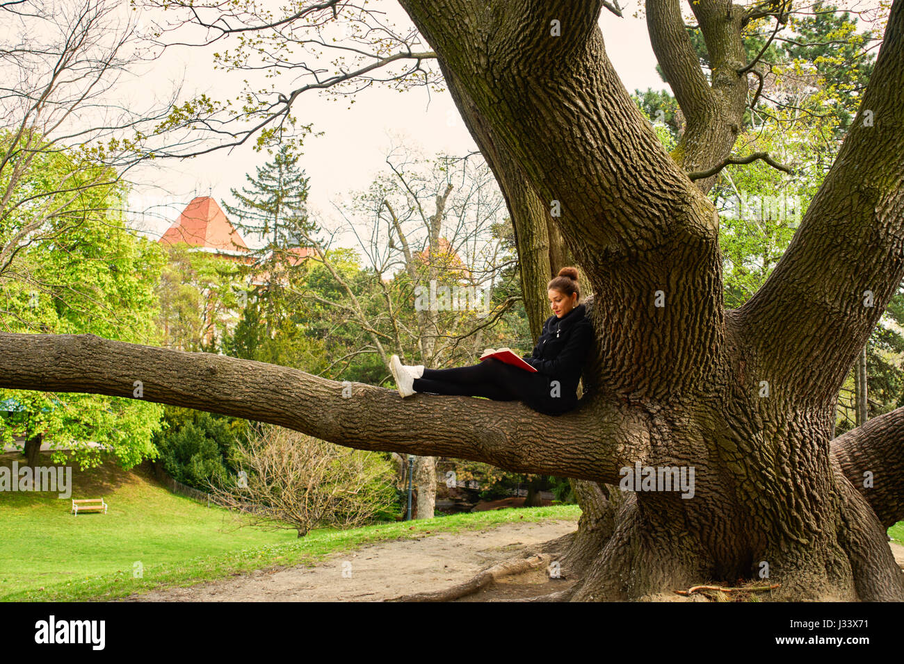 Una donna si siede in una struttura ad albero. Foto Stock