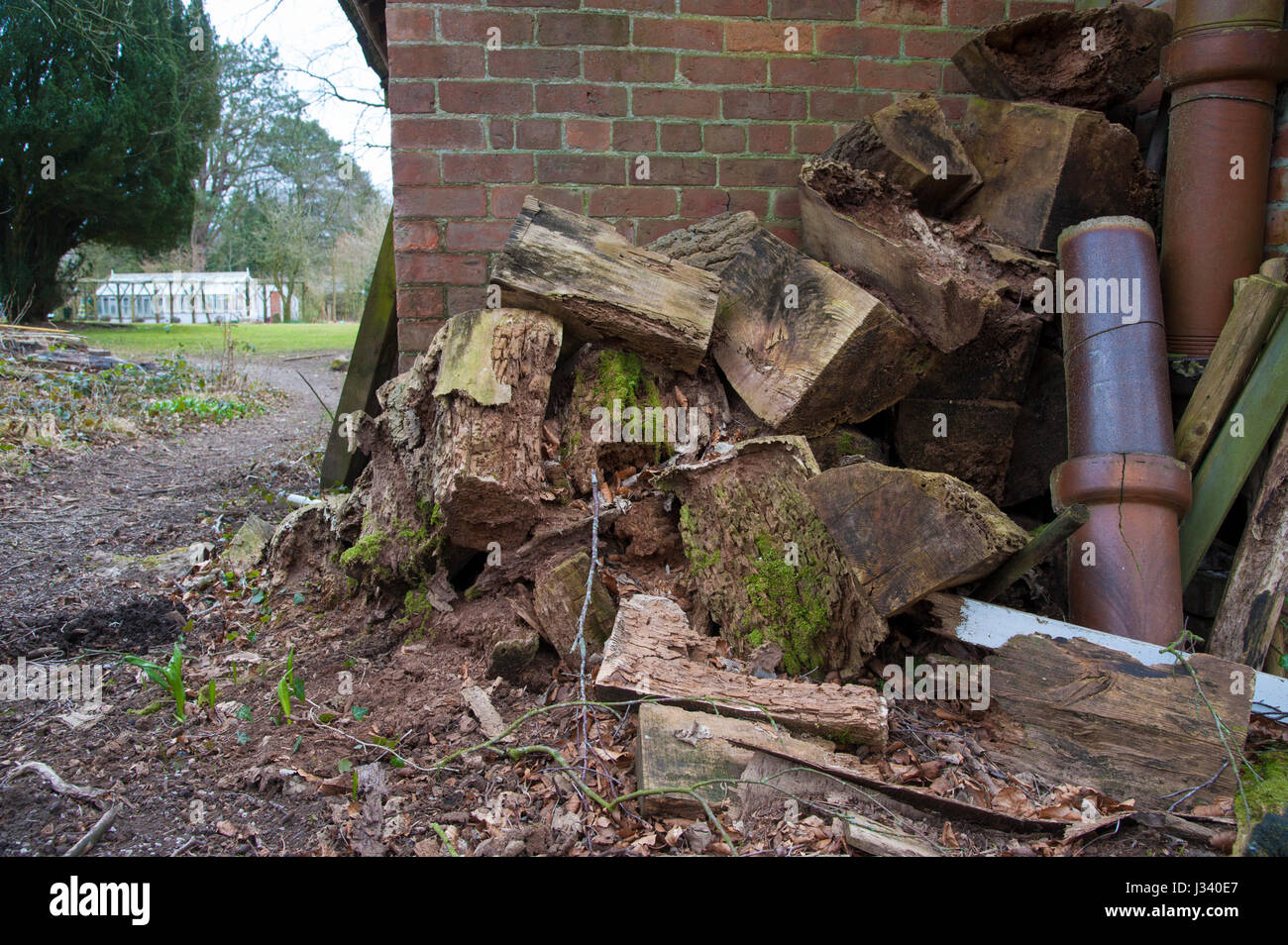 Legno di marciume palo nell'angolo di un giardino, Chipping, Lancashire.UK Foto Stock