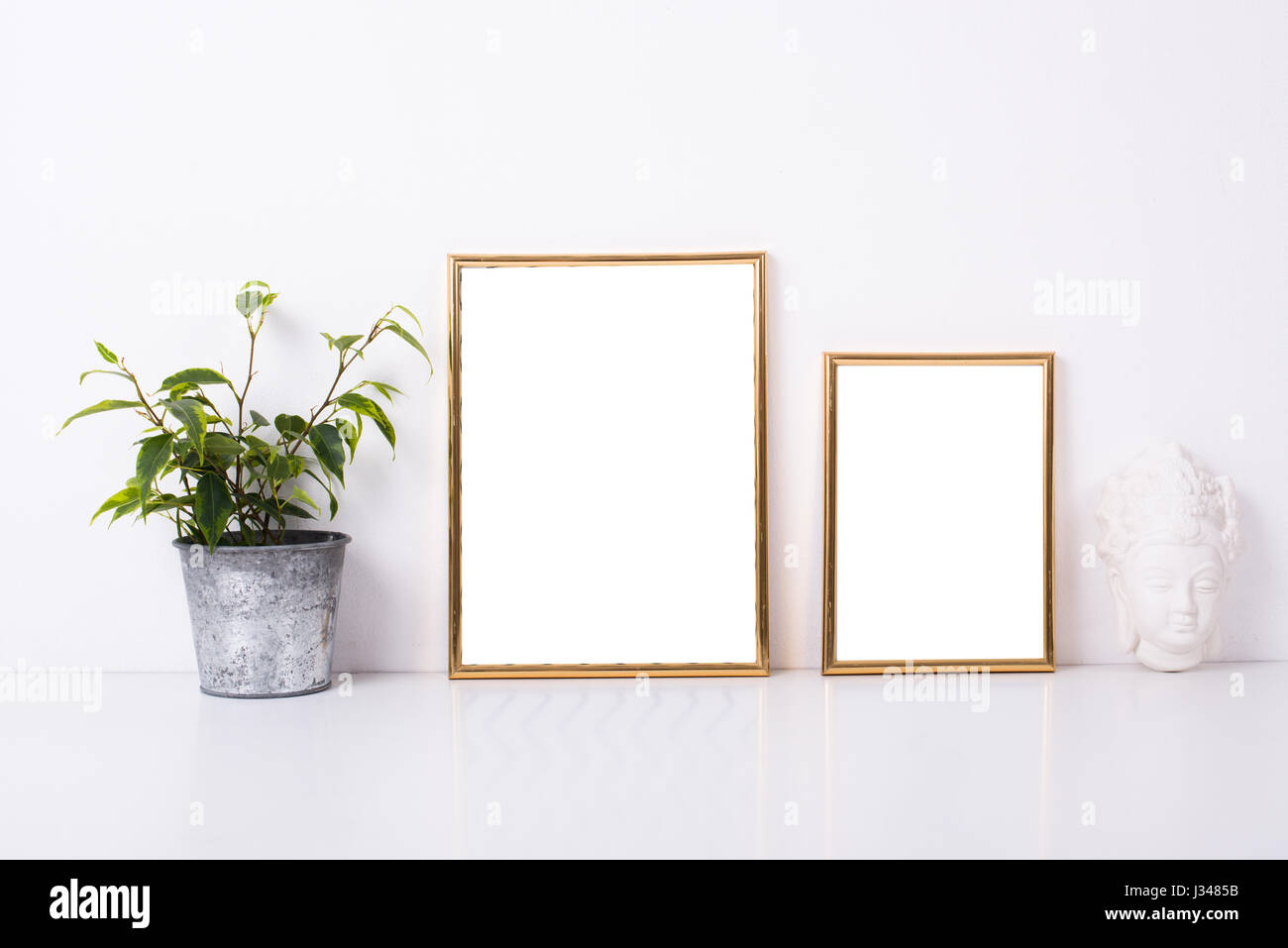 Due cornici dorate mock-up sul muro bianco sfondo, home decor con piante Foto Stock