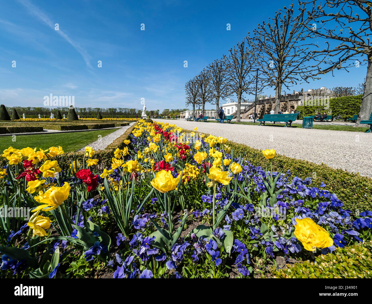 Herrenhaeuser Gaerten, parco presso il castello Herrenhausen, molla, fiori, Hannover, Germania Foto Stock