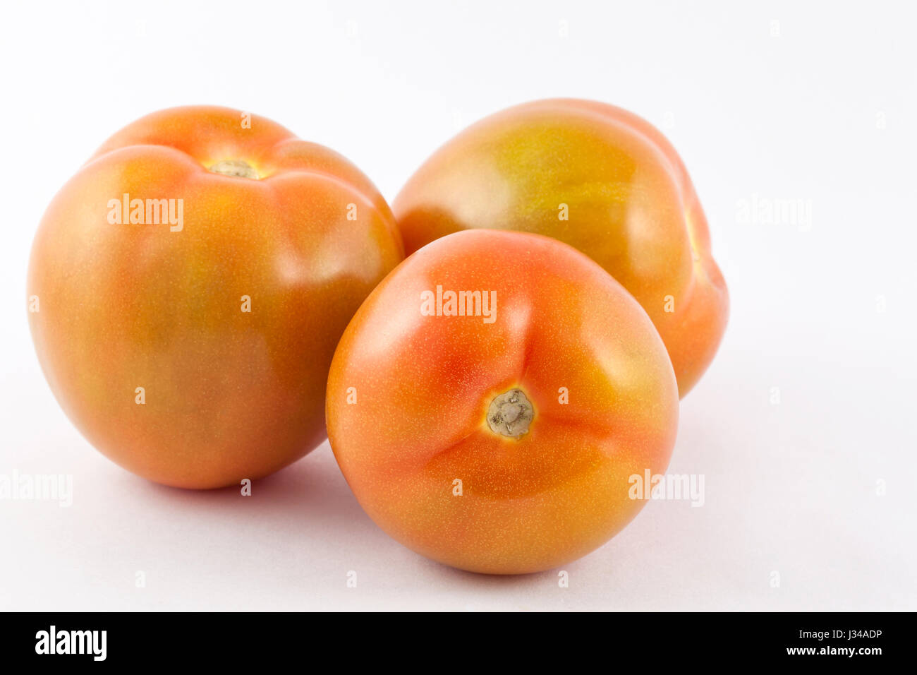 Il pomodoro (Lycopersicon esculentum) isolato in uno sfondo bianco Foto Stock