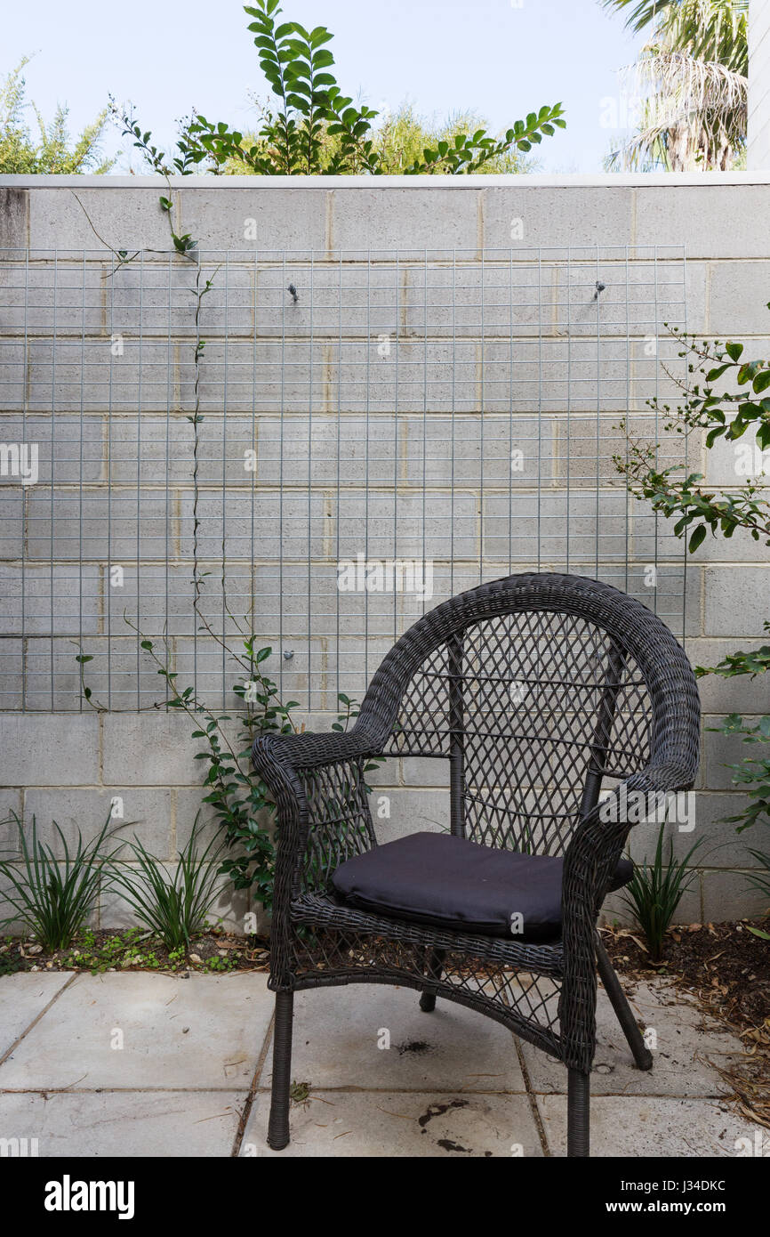 Close up di nero di canna sedia all'aperto nel cortile blocco contro un muro di mattoni con impianto crepper Foto Stock