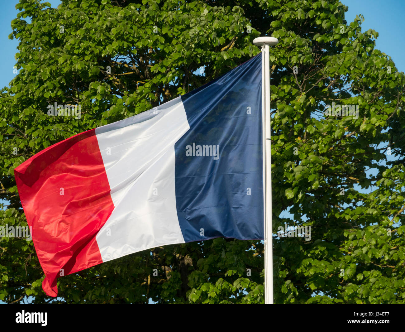 Bandiera francese fluttuante nel vento. Foto Stock