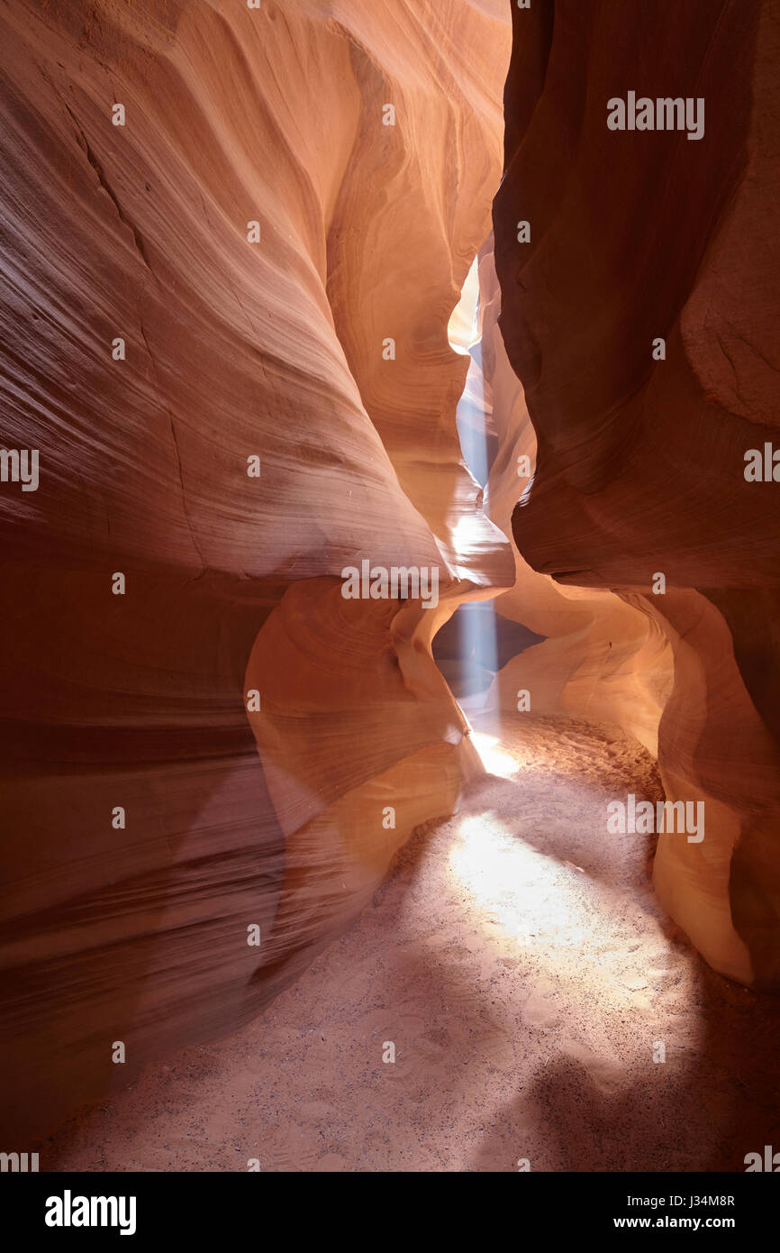 Un fascio di luce nella parte superiore Antelope Canyon, Arizona, Stati Uniti Foto Stock
