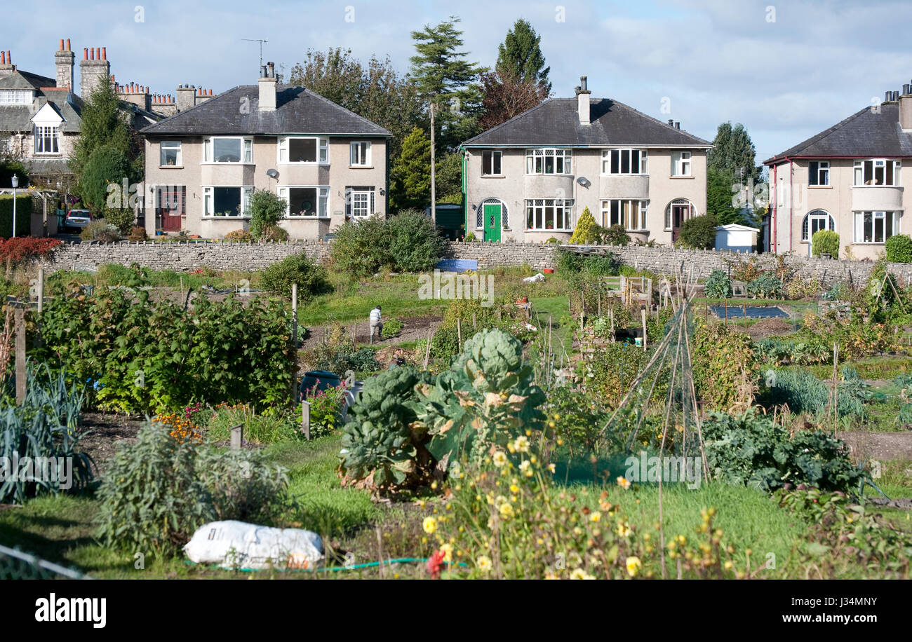 Assegnazioni di giardinaggio,, Kendal Cumbria. Foto Stock