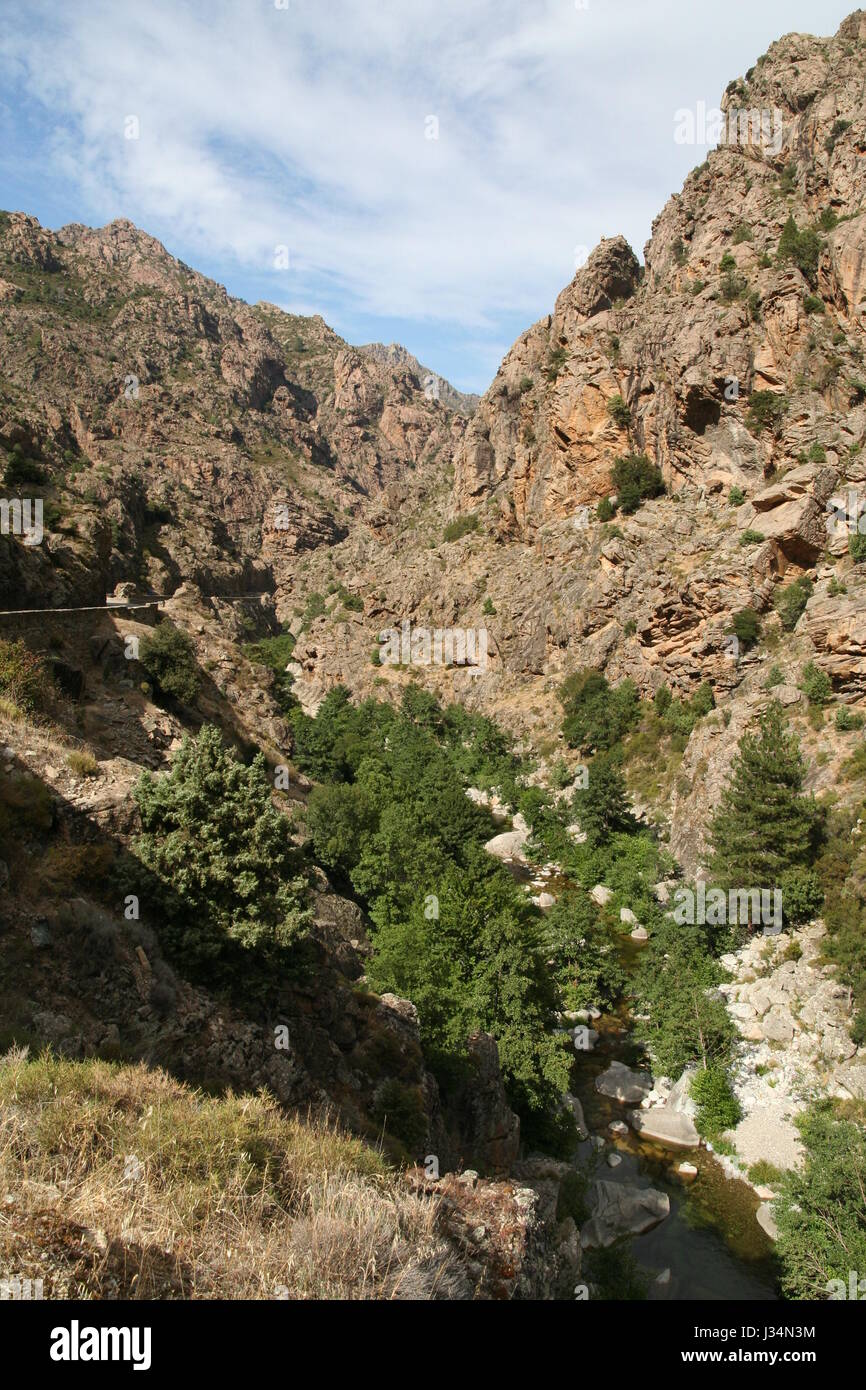 Nella gola di meglio noto come 'Scala di Santa-Regina' nelle Highlands di Corsica centrale. Foto Stock