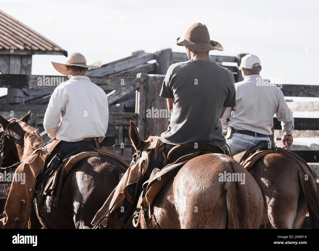 Tre cowboy a cavallo cavalli marrone in una fattoria corral. Foto Stock