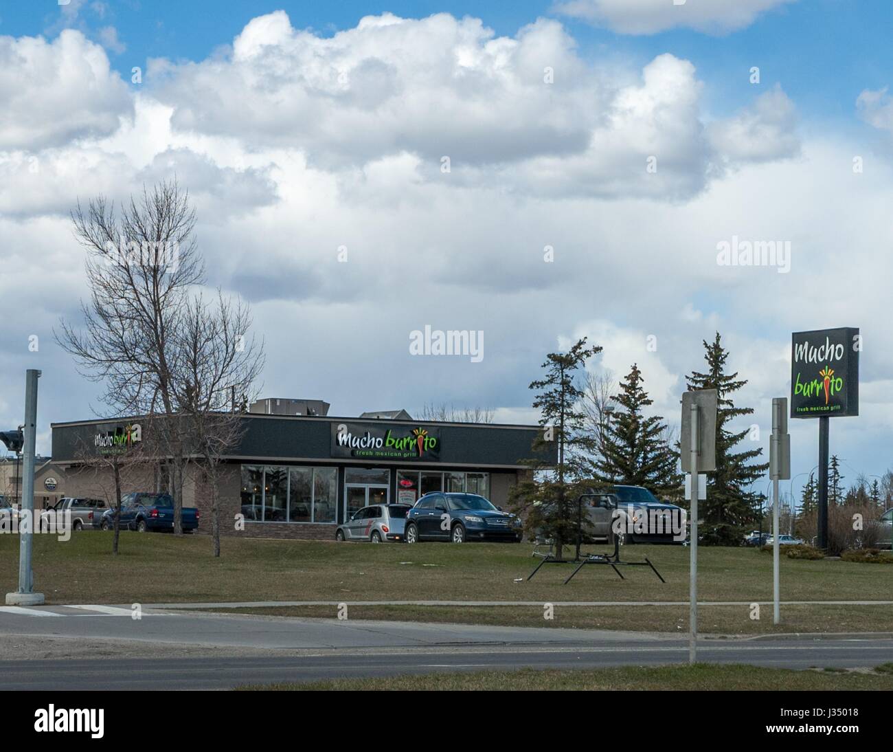 Un Mucho Burrito ristorante a Calgary, Alberta, Canada Foto Stock