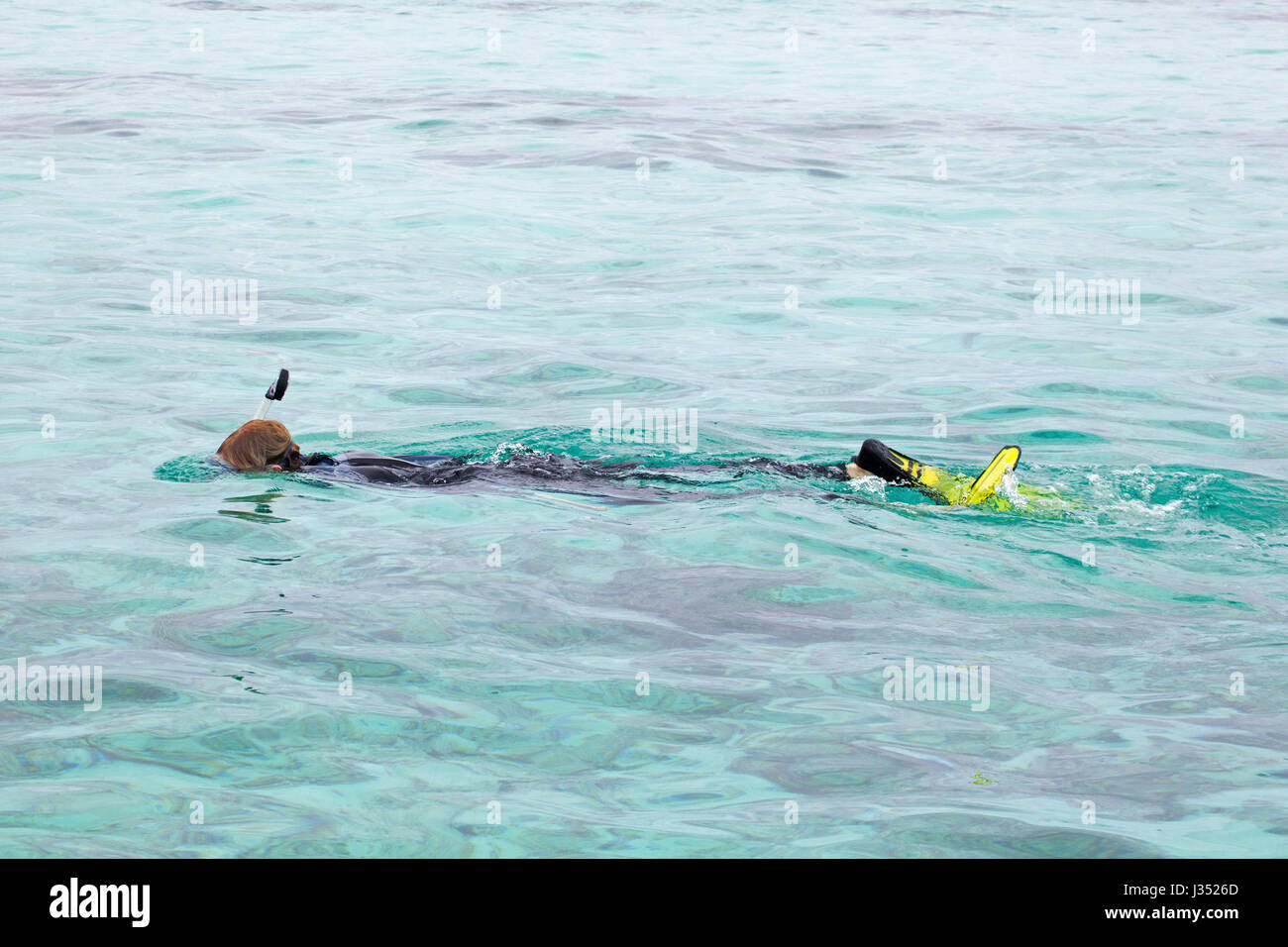 Donna che fa snorkeling sulla superficie dell'acqua della laguna dell'Atollo di Midway nel monumento nazionale marino di Papahanaumokuakea Foto Stock