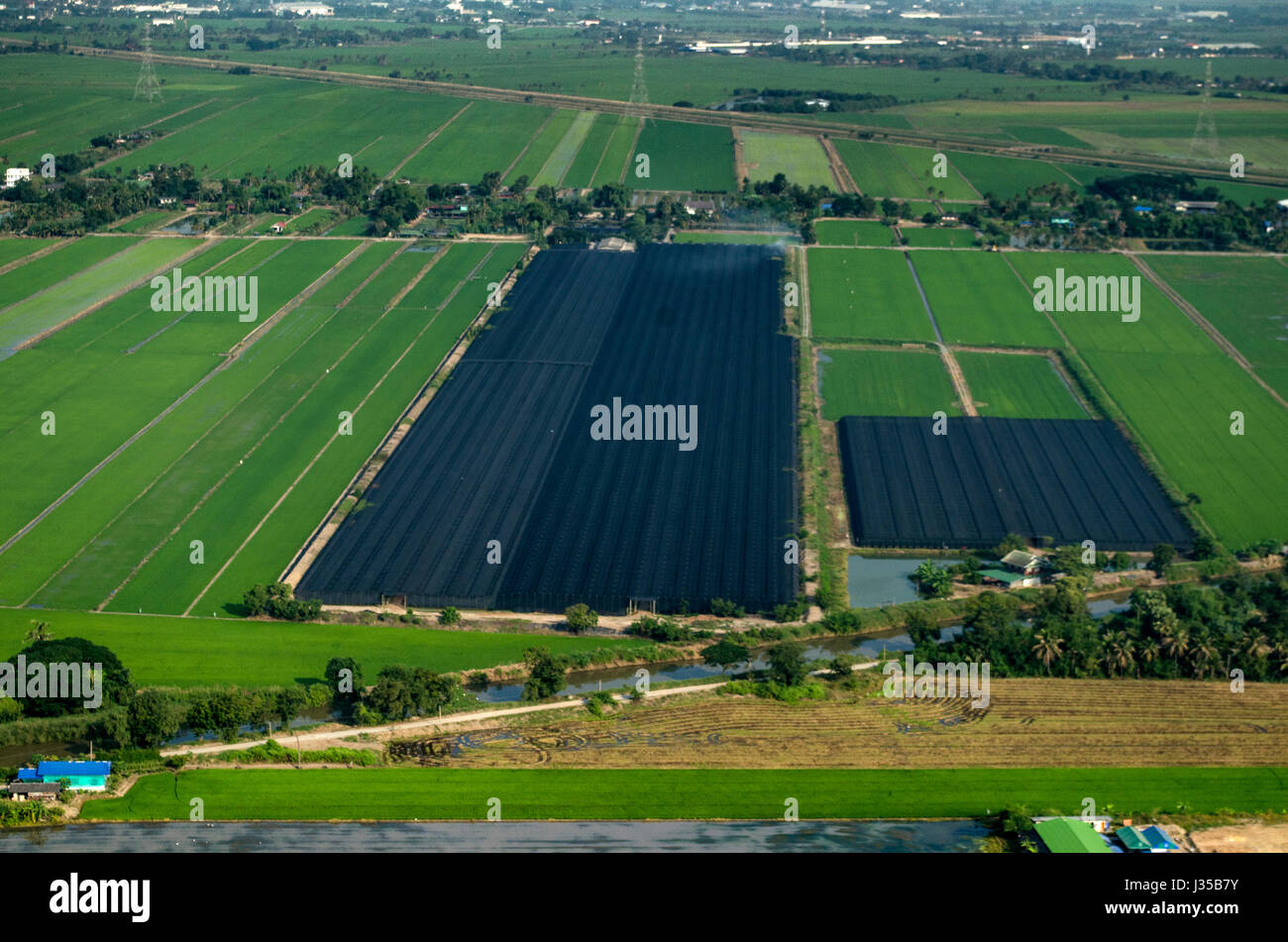 Verdure biologiche, Agricoltura Agricoltura in Thailandia la fotografia aerea Foto Stock