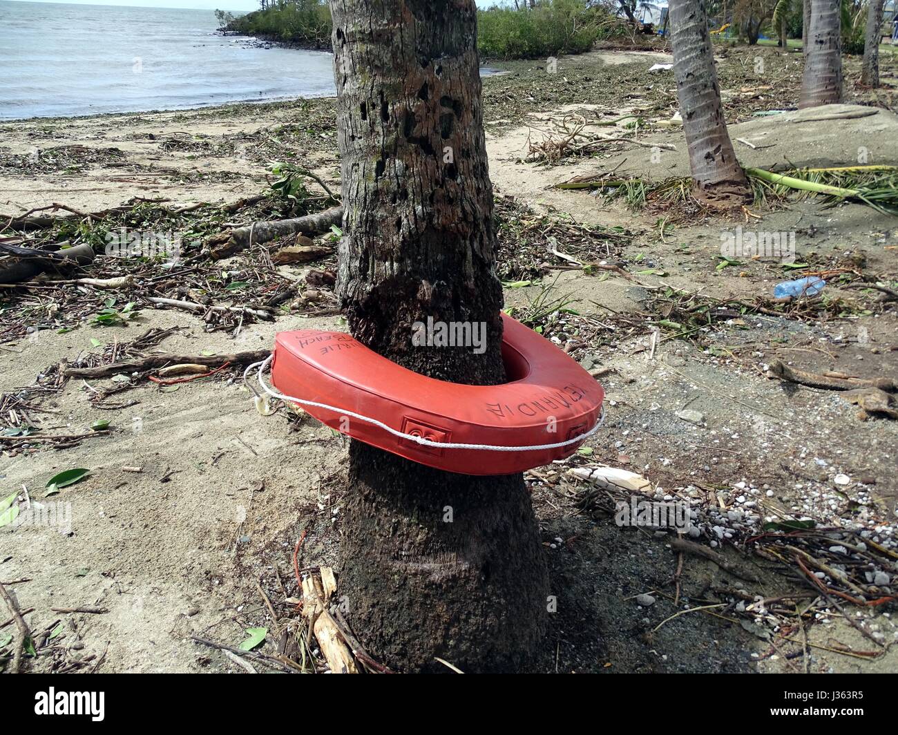 Un anello di vita avvolto intorno a un albero durante il ciclone Debbie Foto Stock