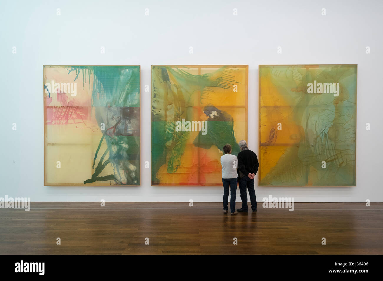 Dipinti di Sigmar Polke al museo Frieder Burda a Baden-Baden , Baden-Wurttemberg,Germania. Foto Stock