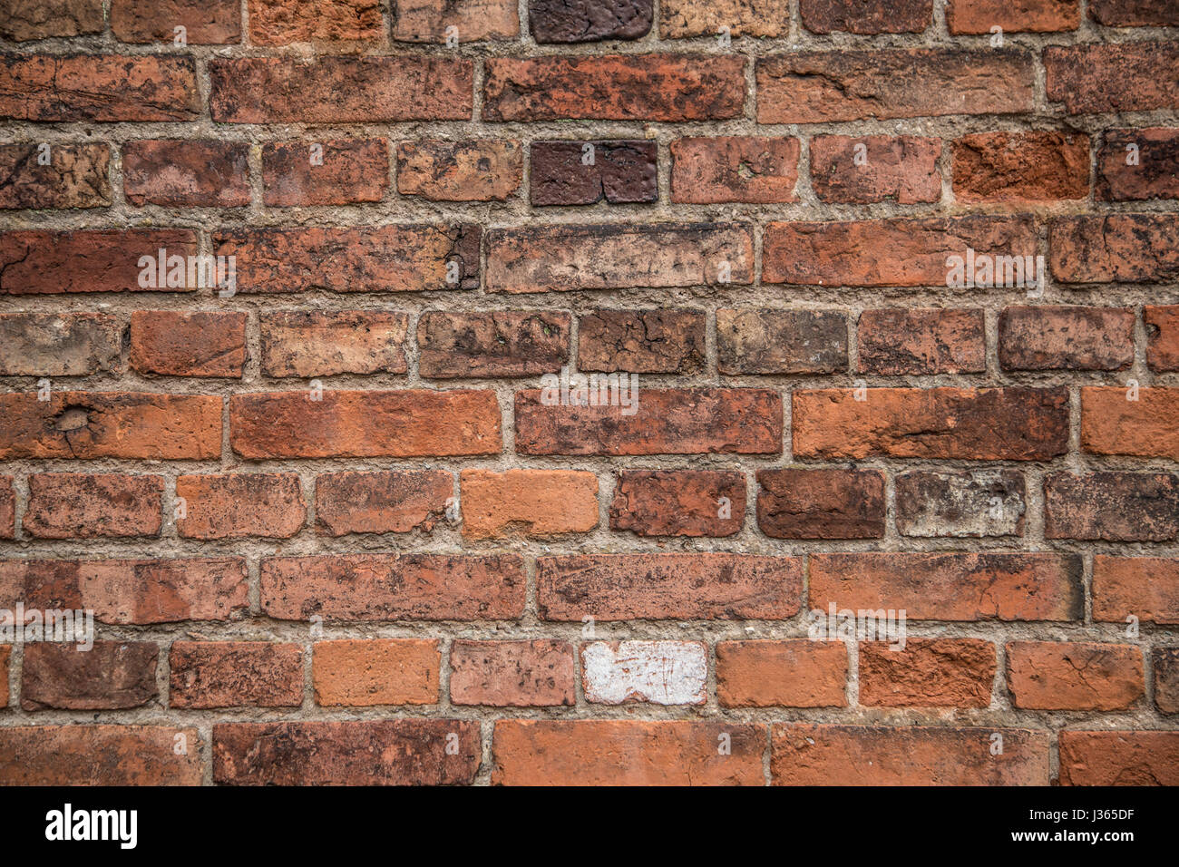 Muro di mattoni texture, vittoriano vecchio muro di mattoni Foto Stock