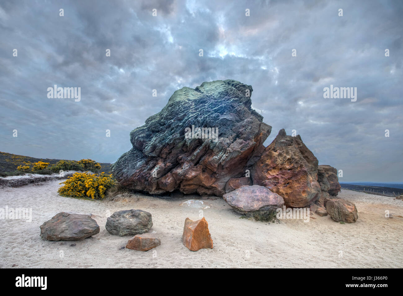 Agglestone Rock, Purbeck, Studland, Dorset, Inghilterra Foto Stock