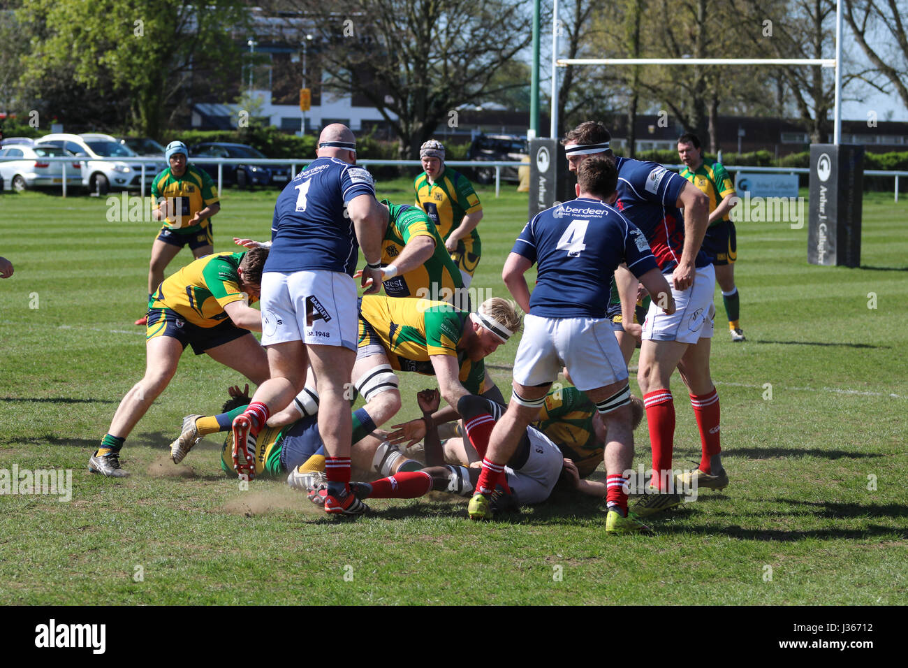 Partita di Rugby. Aprile 2017. Henley tori vs London Scottish.Richmond Rugby Club, Twickenham, London, Regno Unito Foto Stock