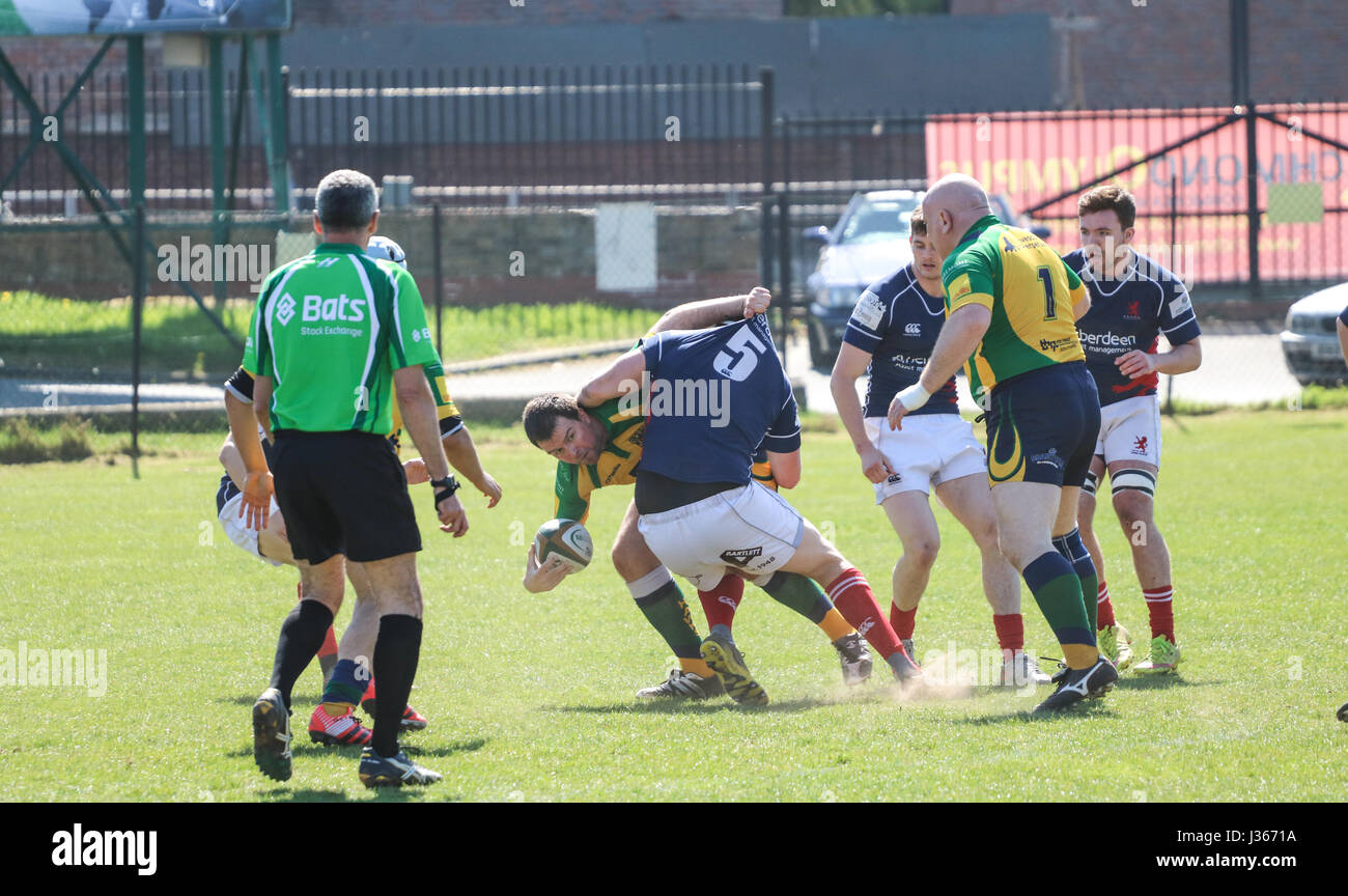 Partita di Rugby. Aprile 2017. Henley tori vs London Scottish.Richmond Rugby Club, Twickenham, London, Regno Unito Foto Stock