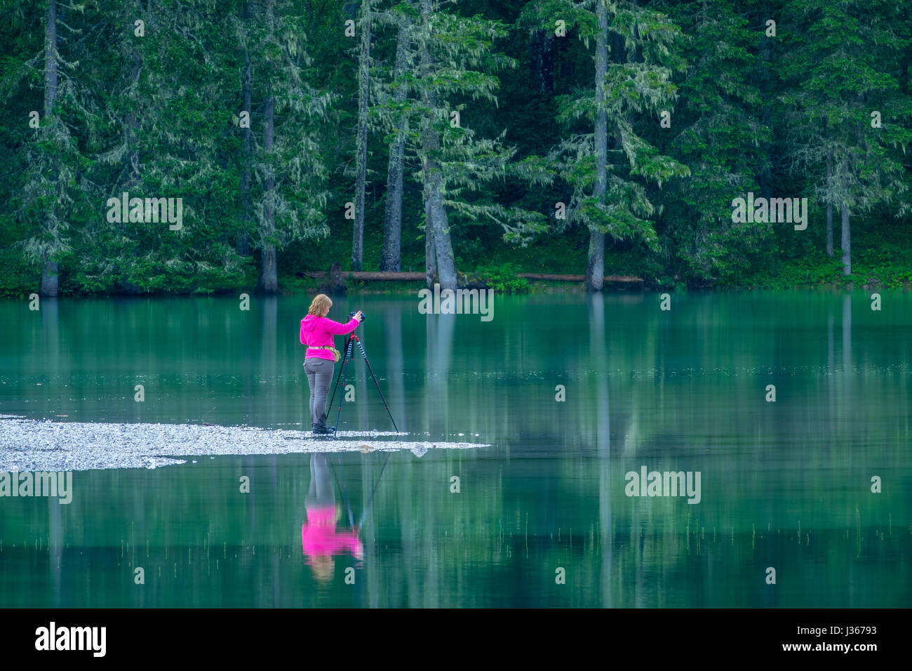 Germania. Foresta calmo lago in una fitta foresta. Ragazza fotografo sorge sul bordo dell'acqua e fa foto con un treppiede Foto Stock
