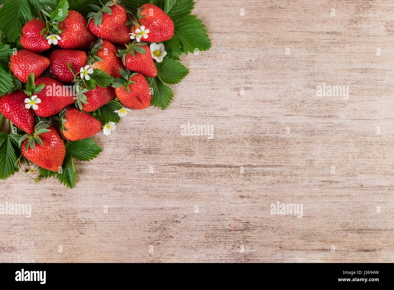 Le fragole di sfondo con spazio di copia Foto Stock