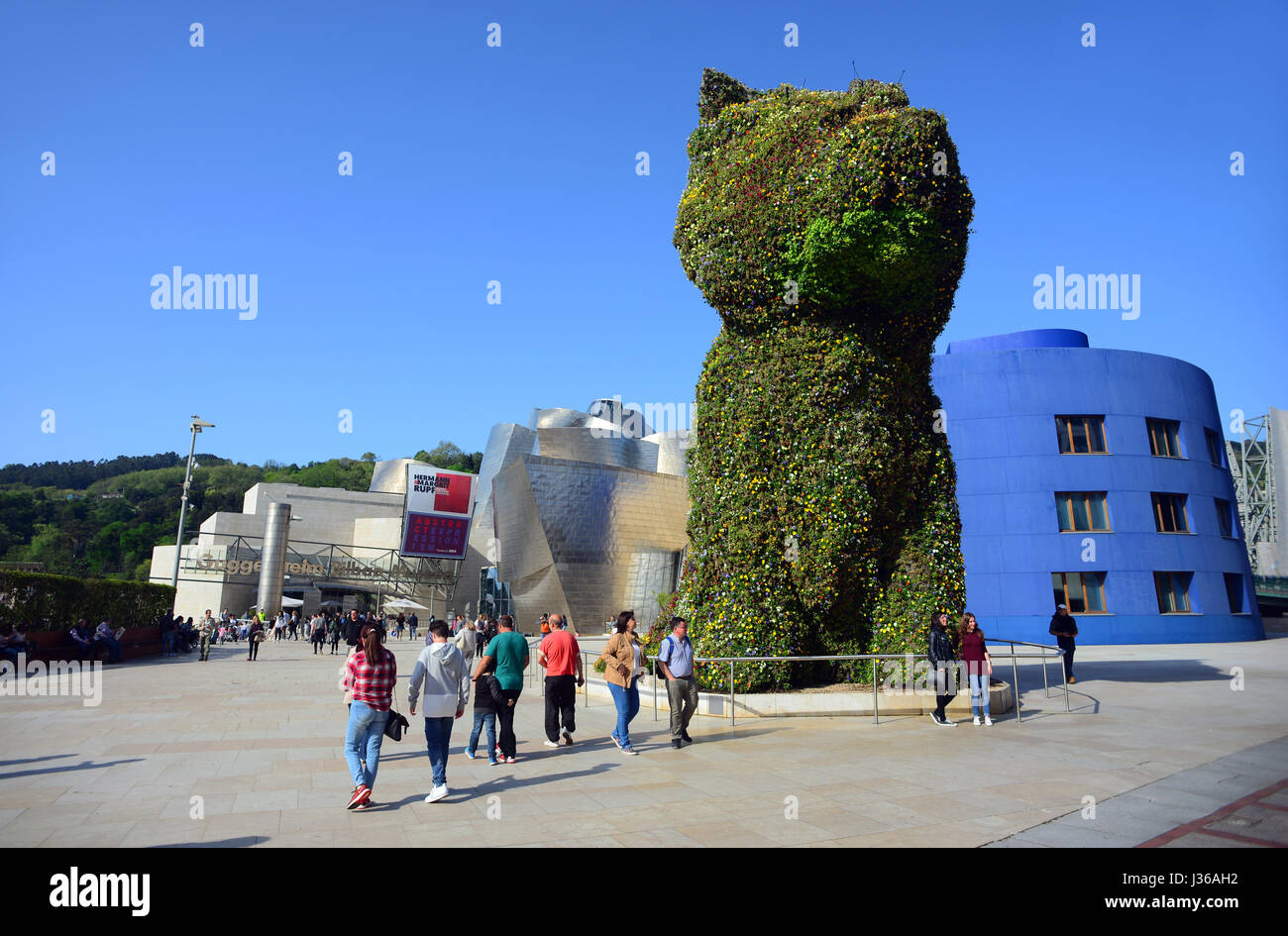 Cucciolo di scultura di Jeff Koons presso il Museo Guggenheim Bilbao è un museo di arte moderna e contemporanea, progettato dall architetto Canadian-American Fran Foto Stock