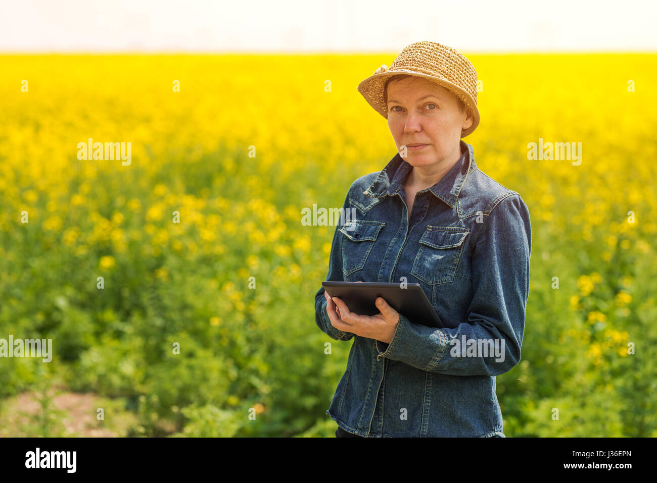 L'agricoltore femmina utilizzando computer tablet nel campo di colza ad analizzare lo sviluppo delle colture agricole, occupazione e tecnologia moderna Foto Stock