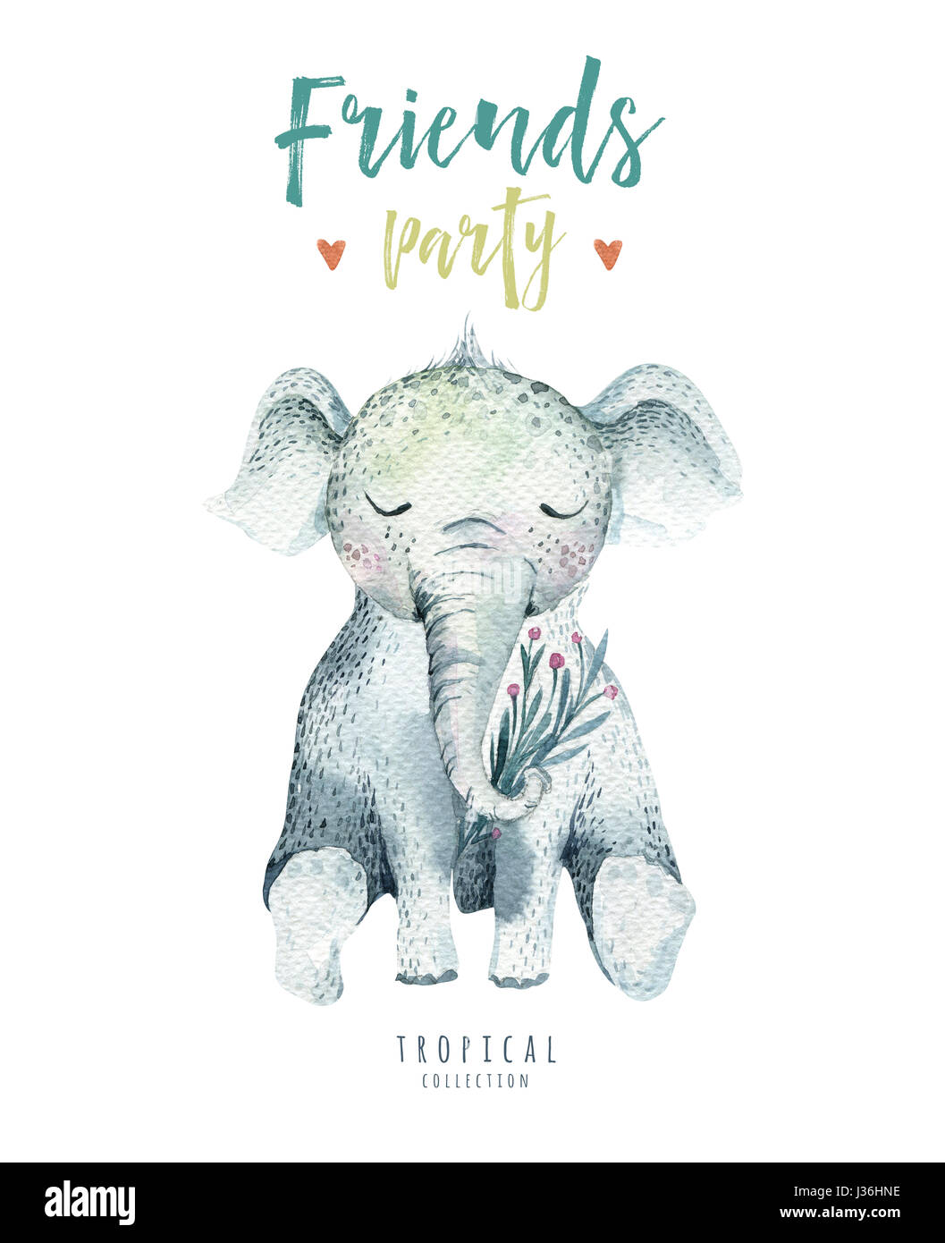 Baby Animali Isolati Di Vivaio Illustrazione Per Bambini Acquerello Boho Disegno Tropicale Bambino Carino Tropic Elefante Baby Shower Foto Stock Alamy