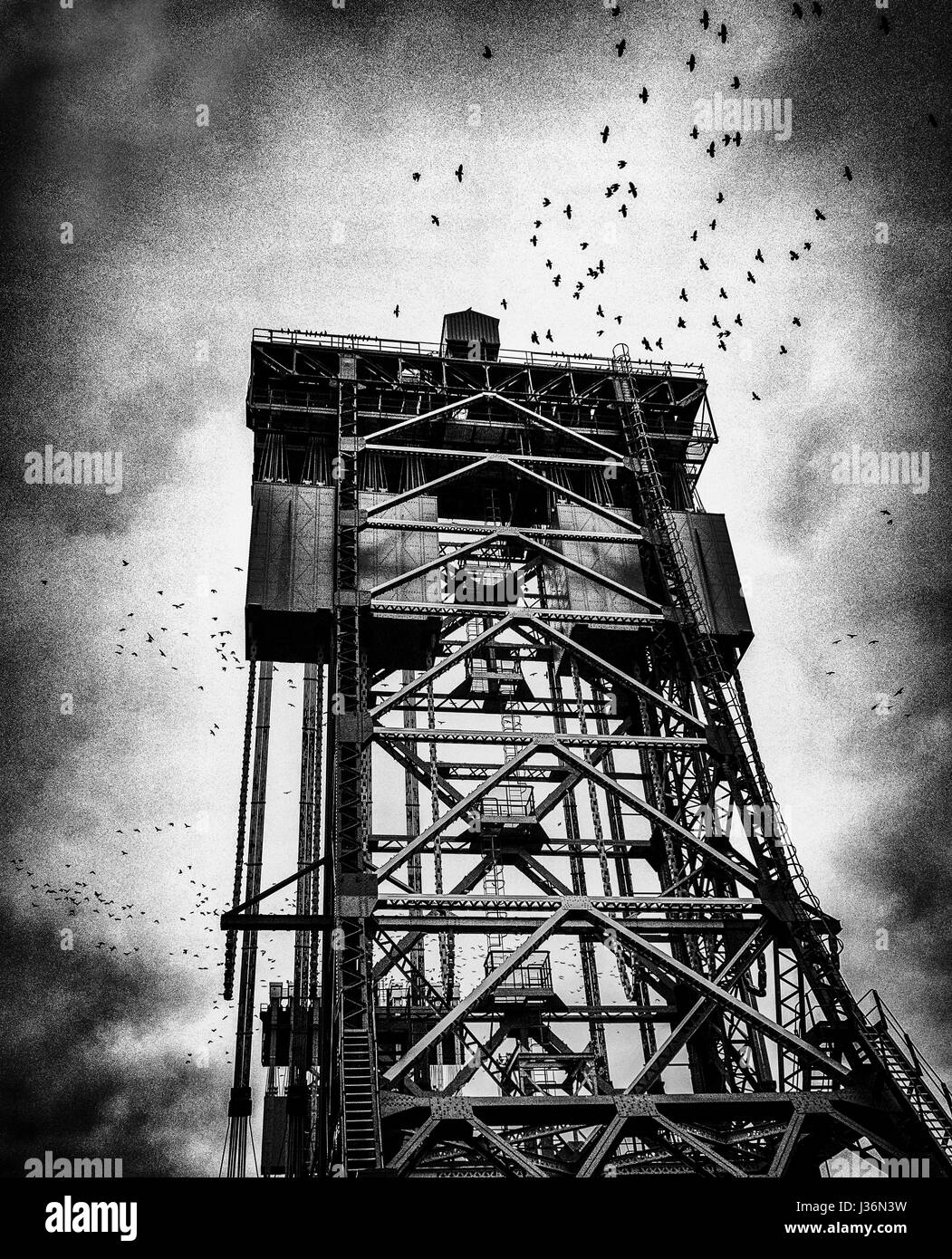 Gli uccelli sono ' appollaiati sul grado 11 elencati Tees Newport Bridge in Middlesbrough Foto Stock