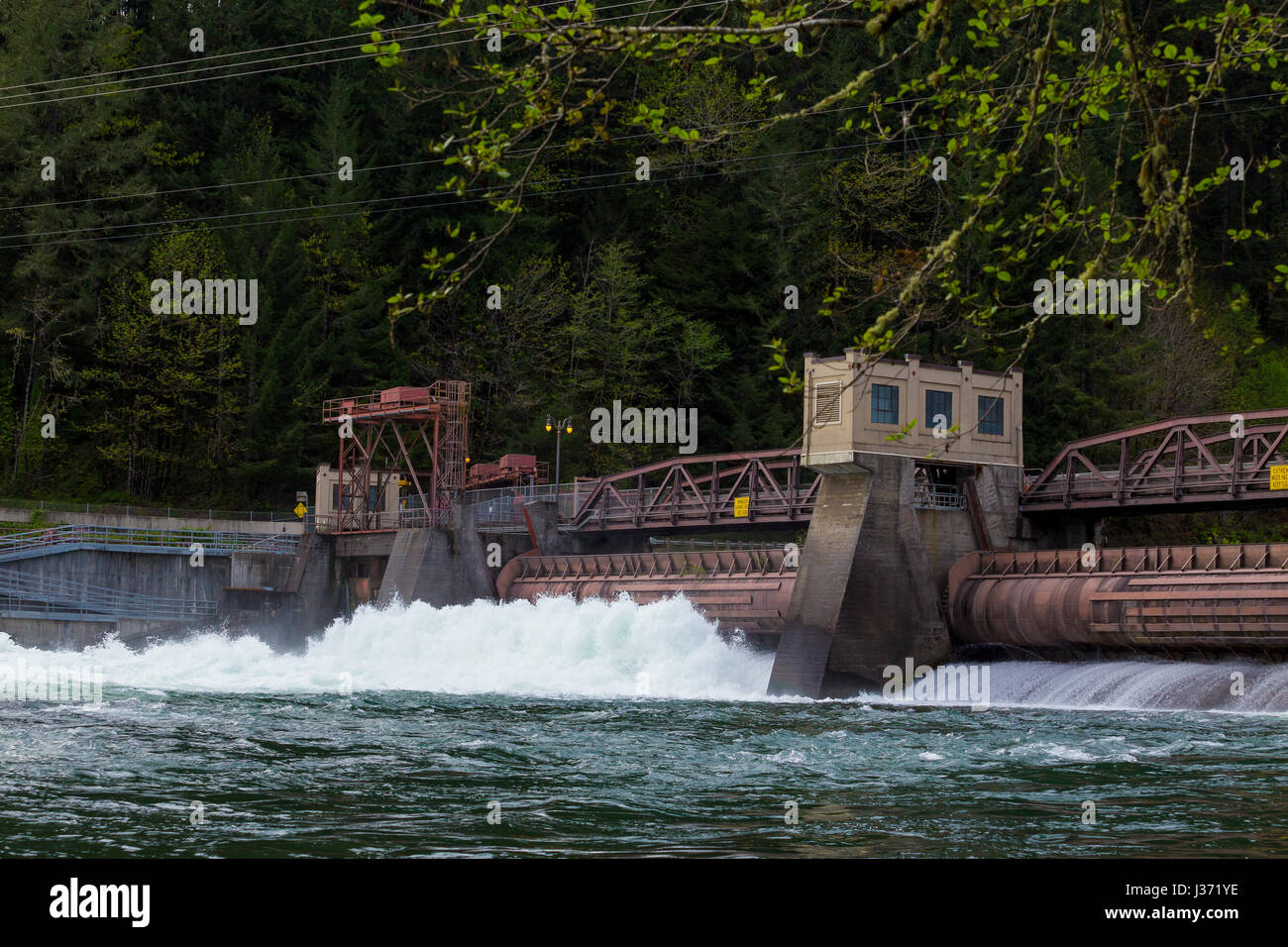 Leaburg diga idroelettrica Foto Stock