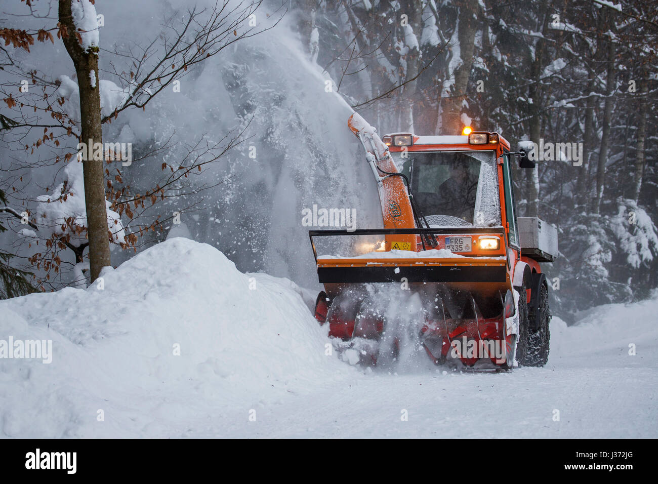 Titolare C9700H trattore comunale con lo spalaneve sgombero della neve dalla strada nella foresta dopo la nevicata in inverno Foto Stock