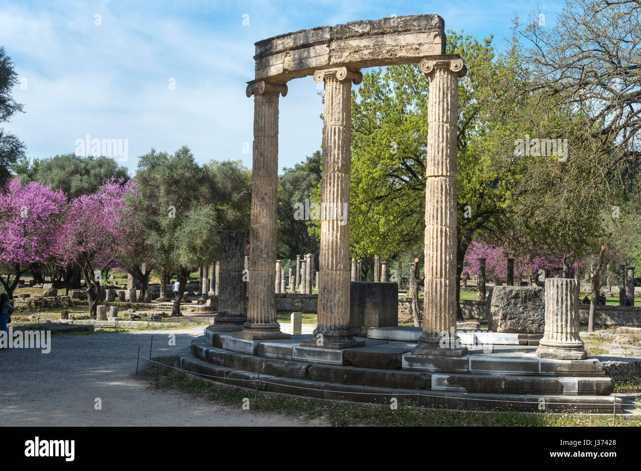 Il philippeion ad Olympia a primavera con gli alberi di Giuda in fiore. Antica Olympia, Peloponneso e Grecia. Foto Stock