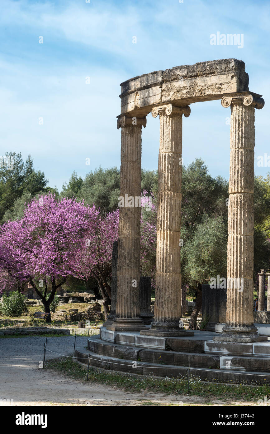 Il philippeion ad Olympia a primavera con gli alberi di Giuda in fiore. Antica Olympia, Peloponneso e Grecia. Foto Stock
