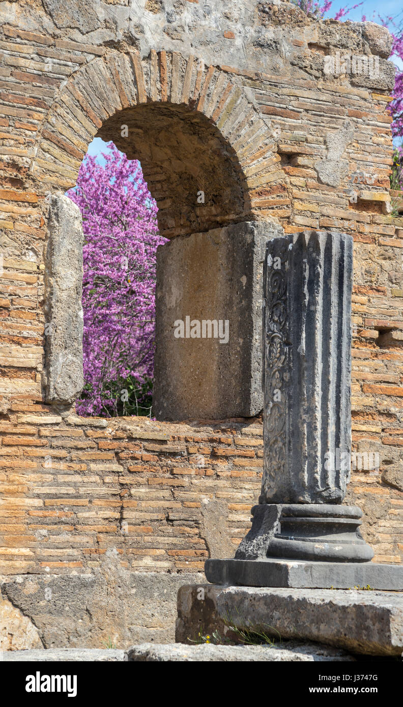 Pheidias' officina e basilica paleocristiana a Olympia a primavera con gli alberi di Giuda in fiore. Antica Olympia, Peloponneso e Grecia. Foto Stock